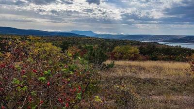 Прикрепленное изображение: i (5).jpg